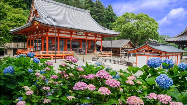 ©Osaka Convention & Tourism Bureau