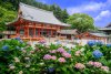 ©Osaka Convention & Tourism Bureau