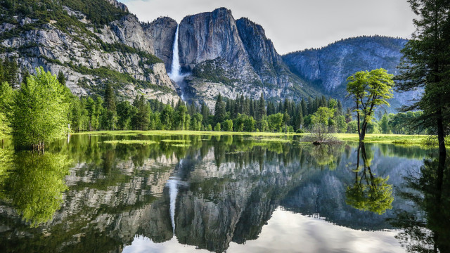 Yosemite National Park #3