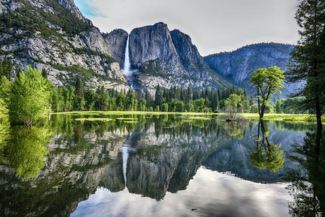 Yosemite National Park #3